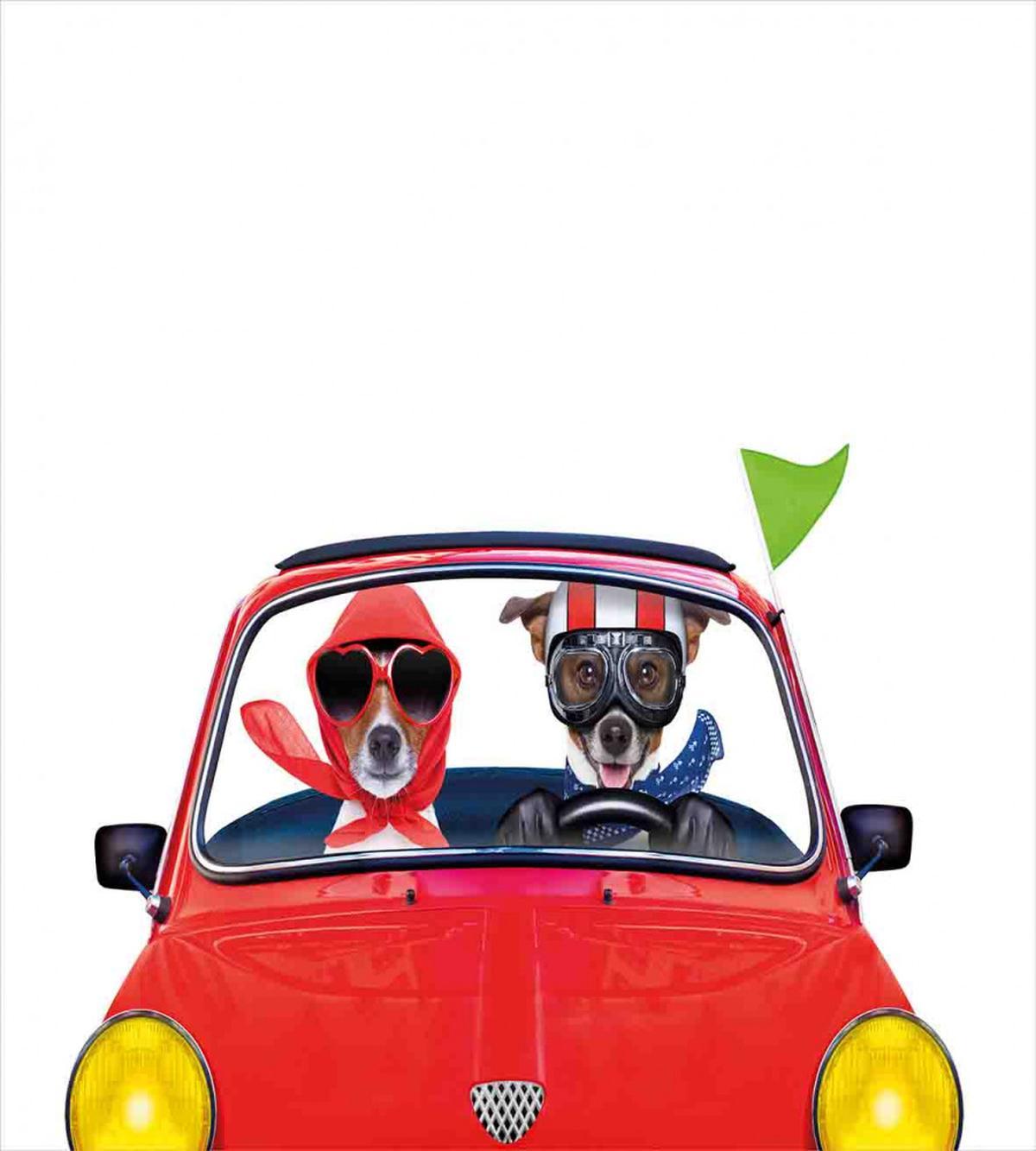 Jack Russell Couple — Pattern