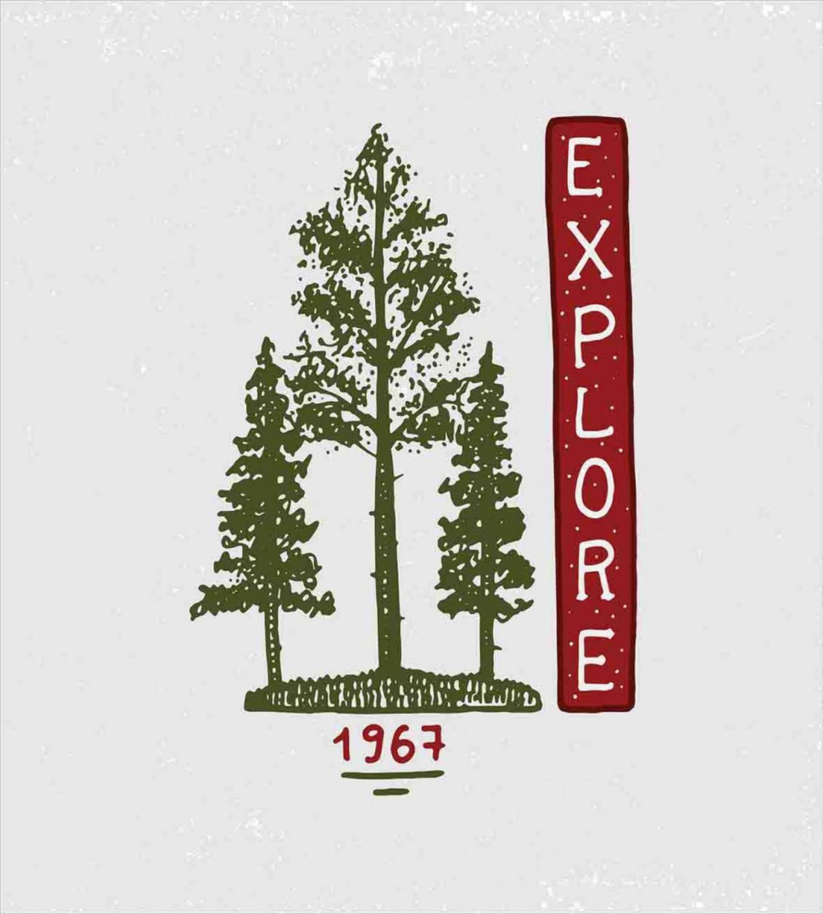 Coniferous Tree Sketch — Pattern