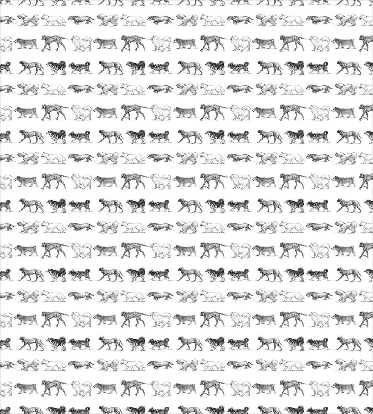 Sketch Art Different Breeds — Pattern