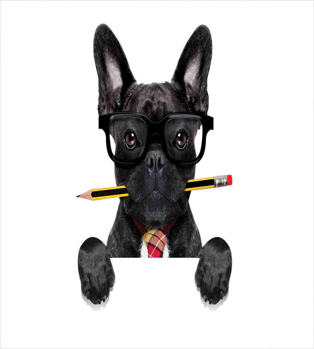 Businessman Dog Glasses — Pattern