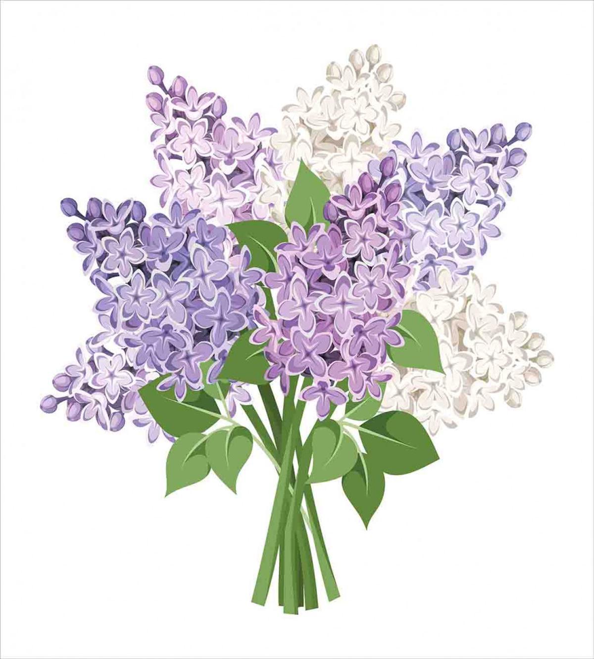 Posy of Meadow Flowers — Pattern