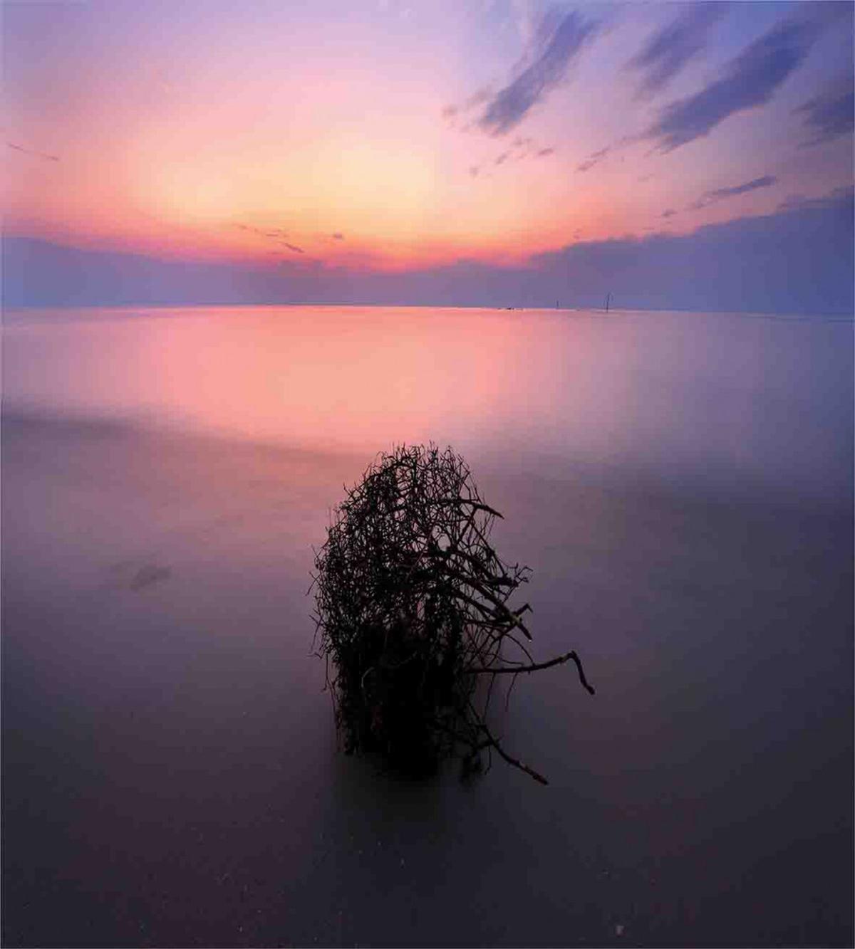 Hidden Heaven Nature — Pattern