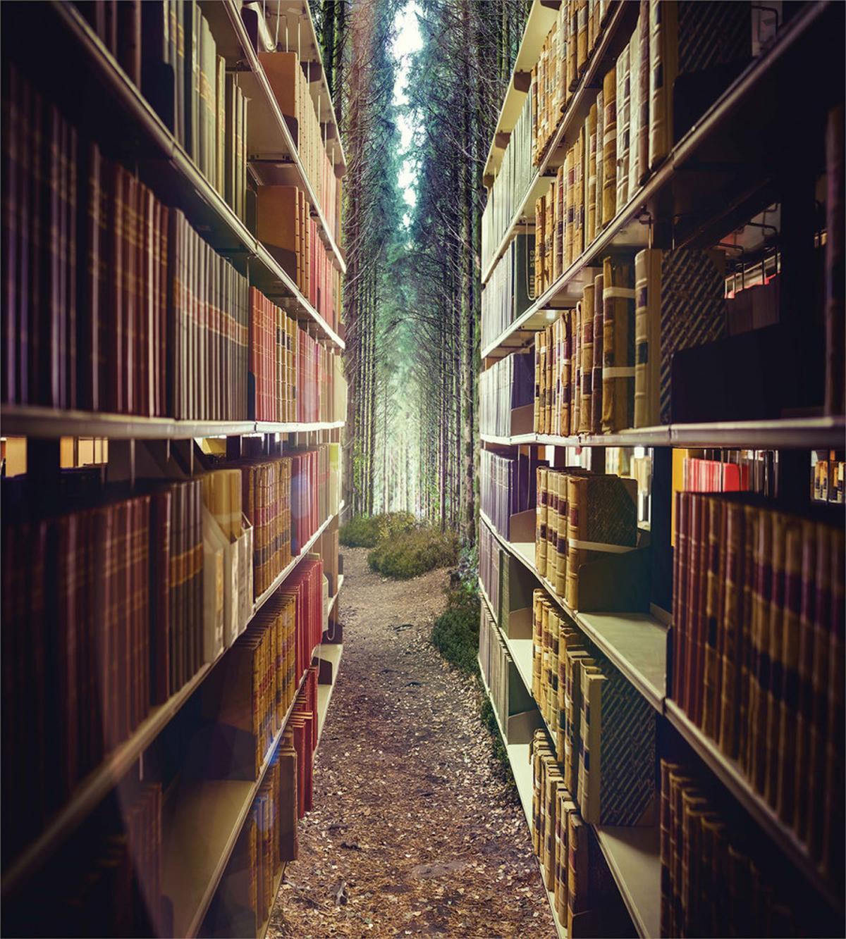 Abstract Library in Woods — Pattern