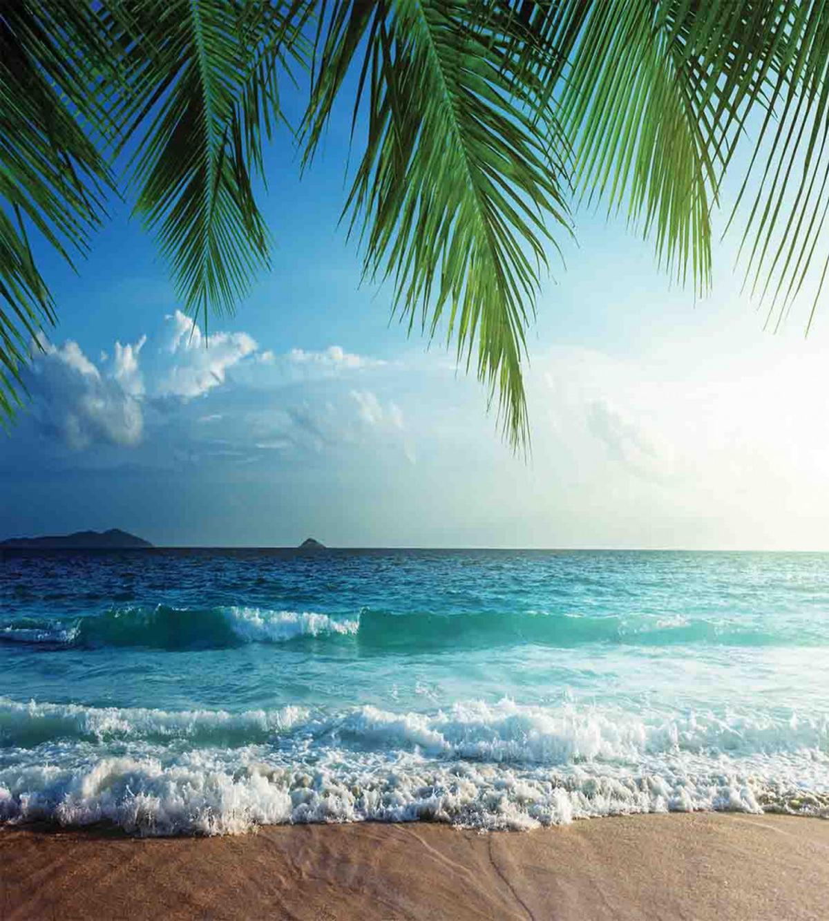 Palms Tropical Island — Pattern