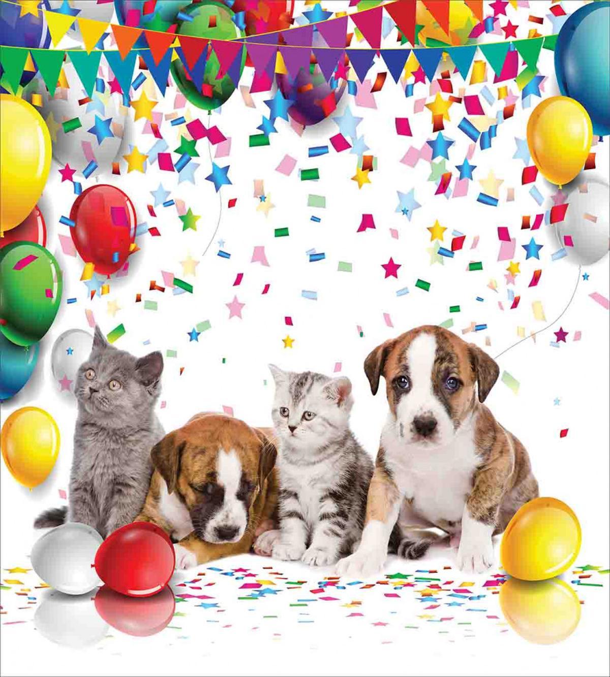 Cat and Dog Party — Pattern