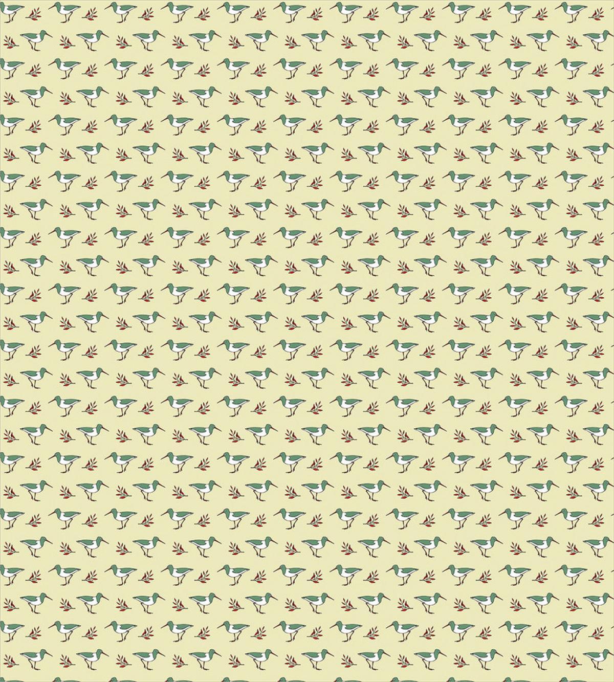 Shorebirds Animals Long Beaks — Pattern