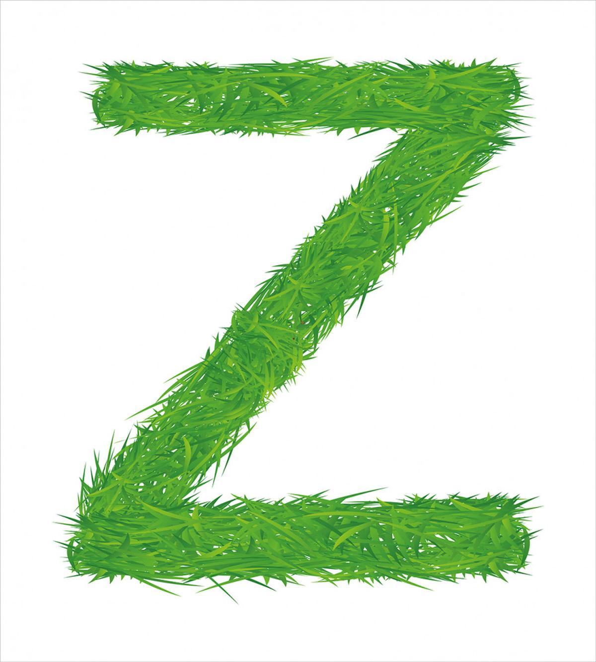 Spring Capital Z Grass — Pattern