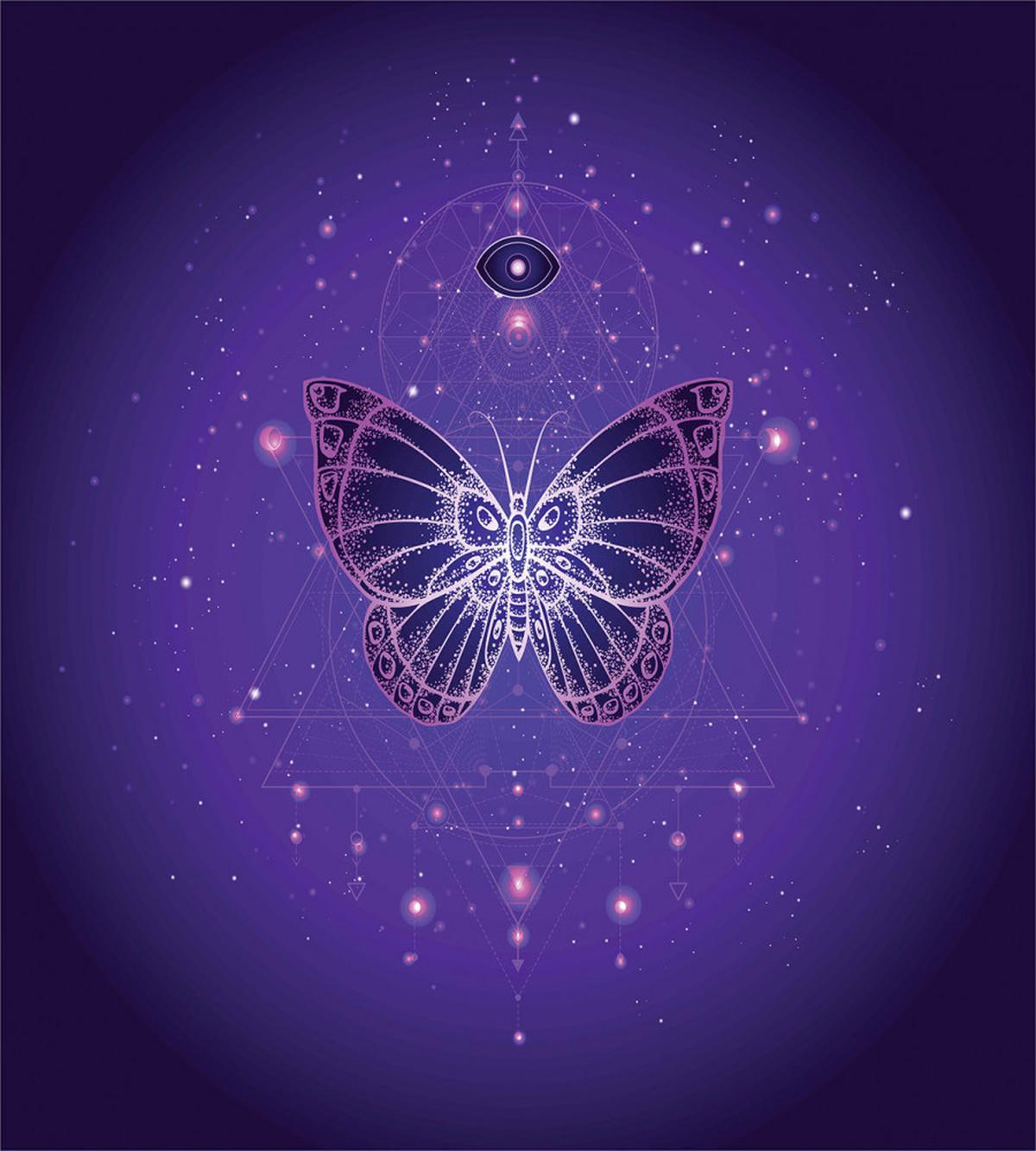 Galactic Butterfly Geometry — Pattern