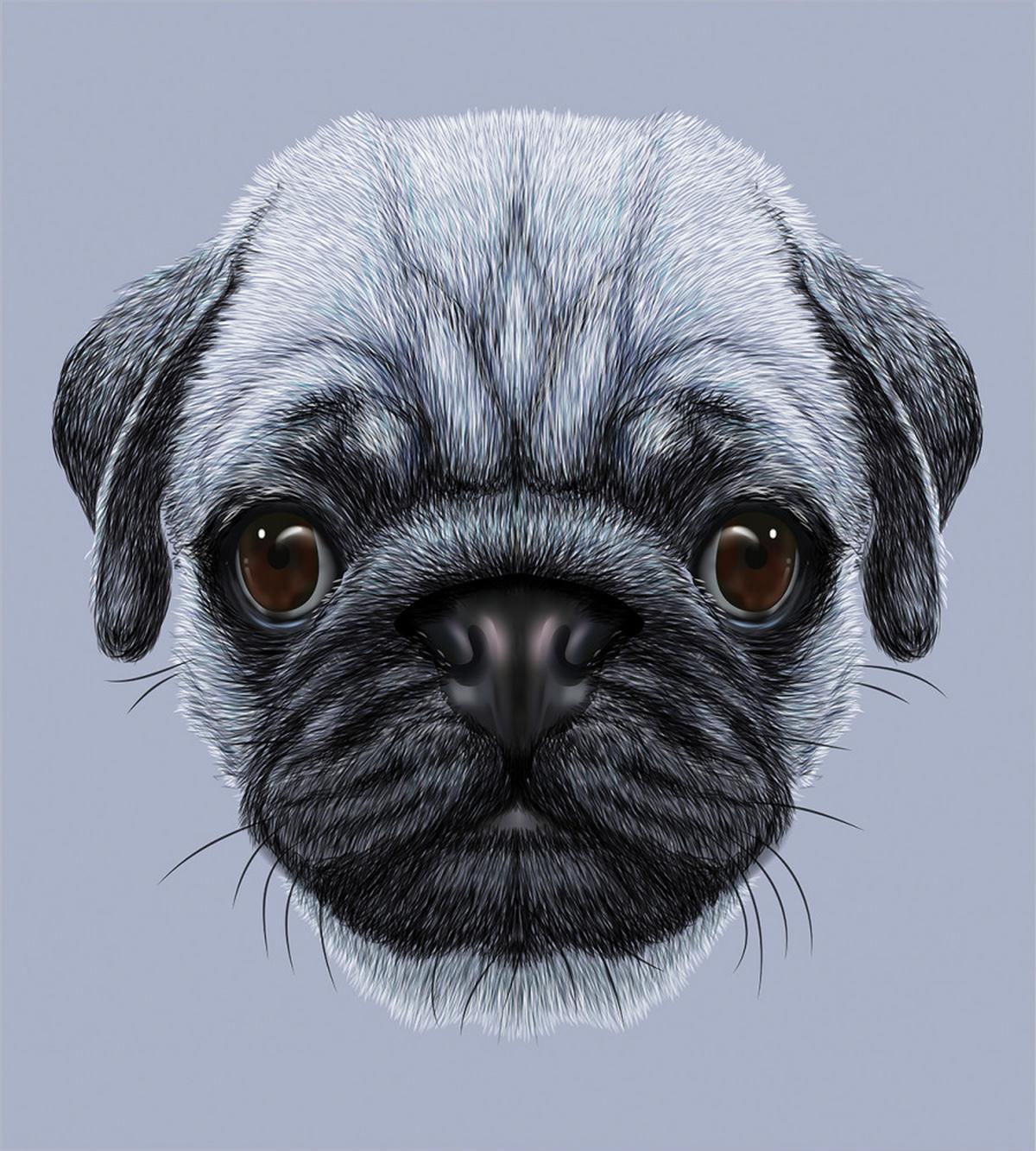 Young Puppy Giant Eyes — Pattern
