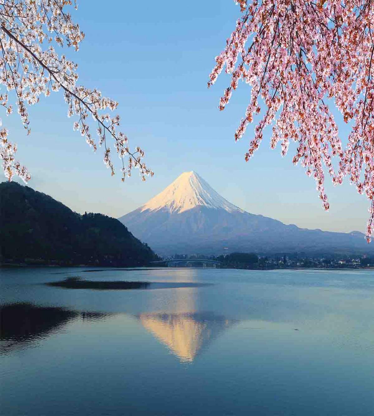 Japan Mountain and Sakura — Pattern