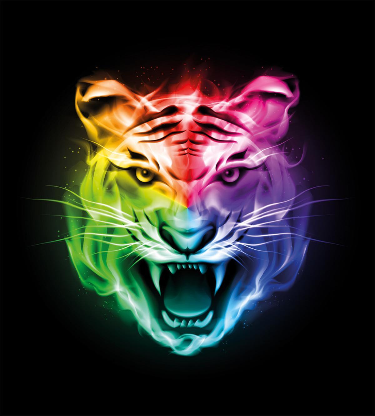 Abstract Feline Colorful — Pattern