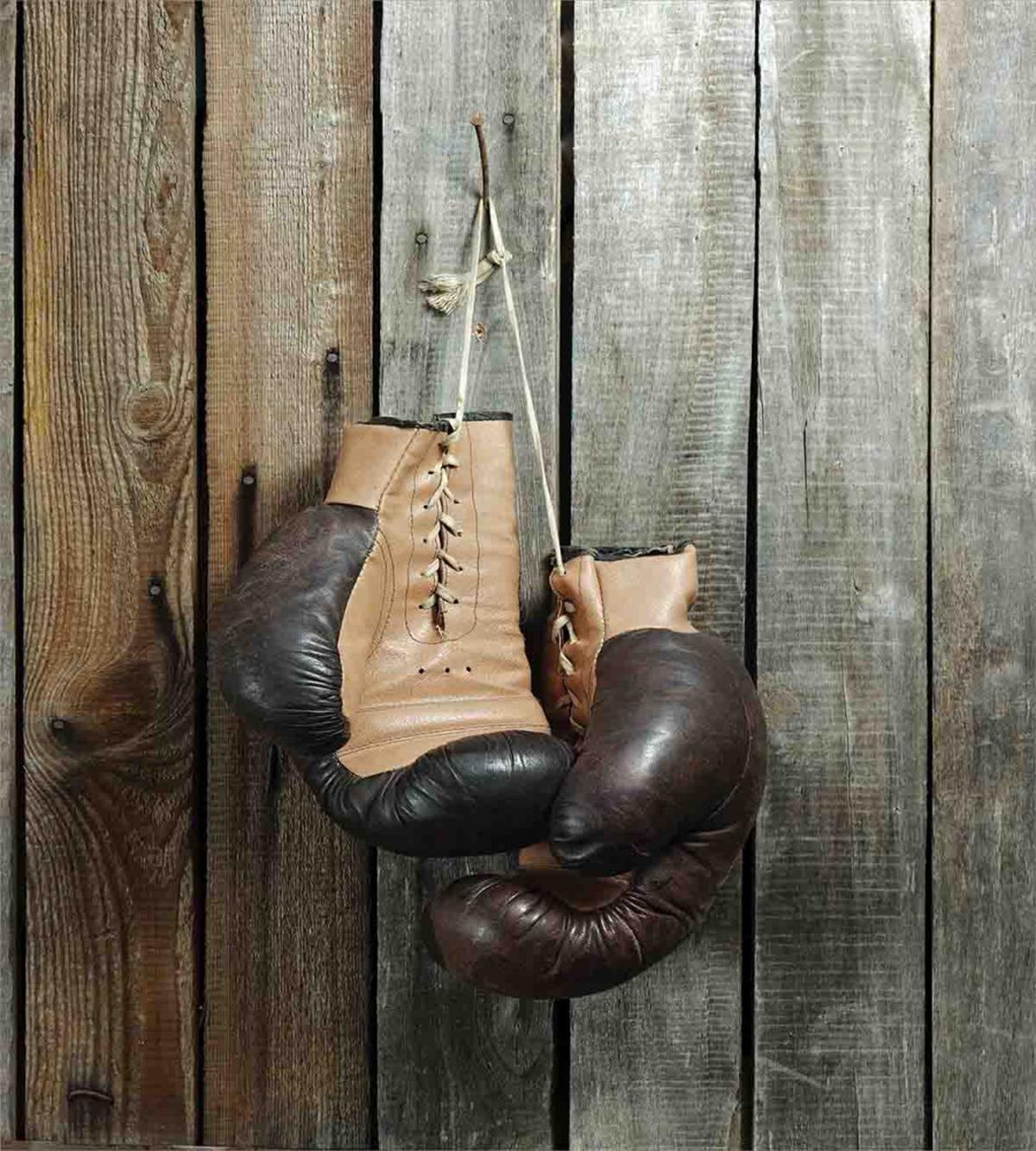 Vintage Boxing Gloves — Pattern