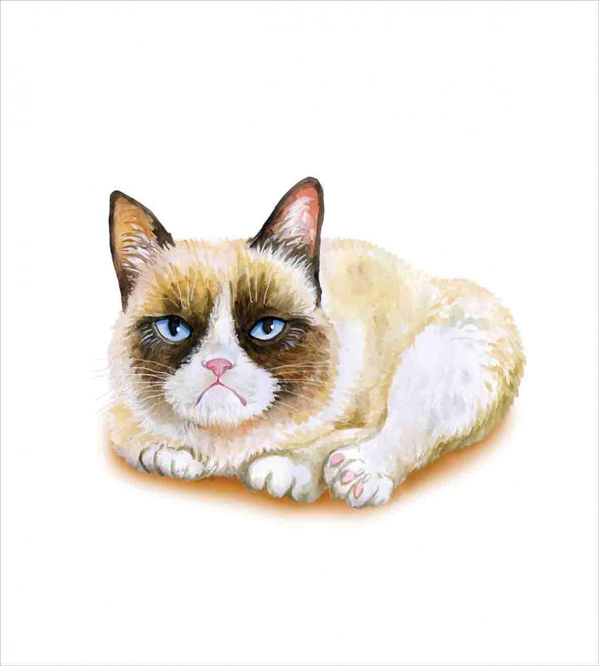 Grumpy Angry Cat Love — Pattern