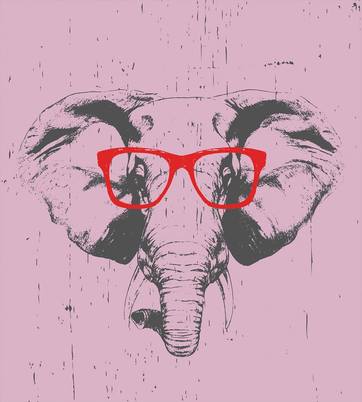 Elephant with Funny Glasses — Pattern