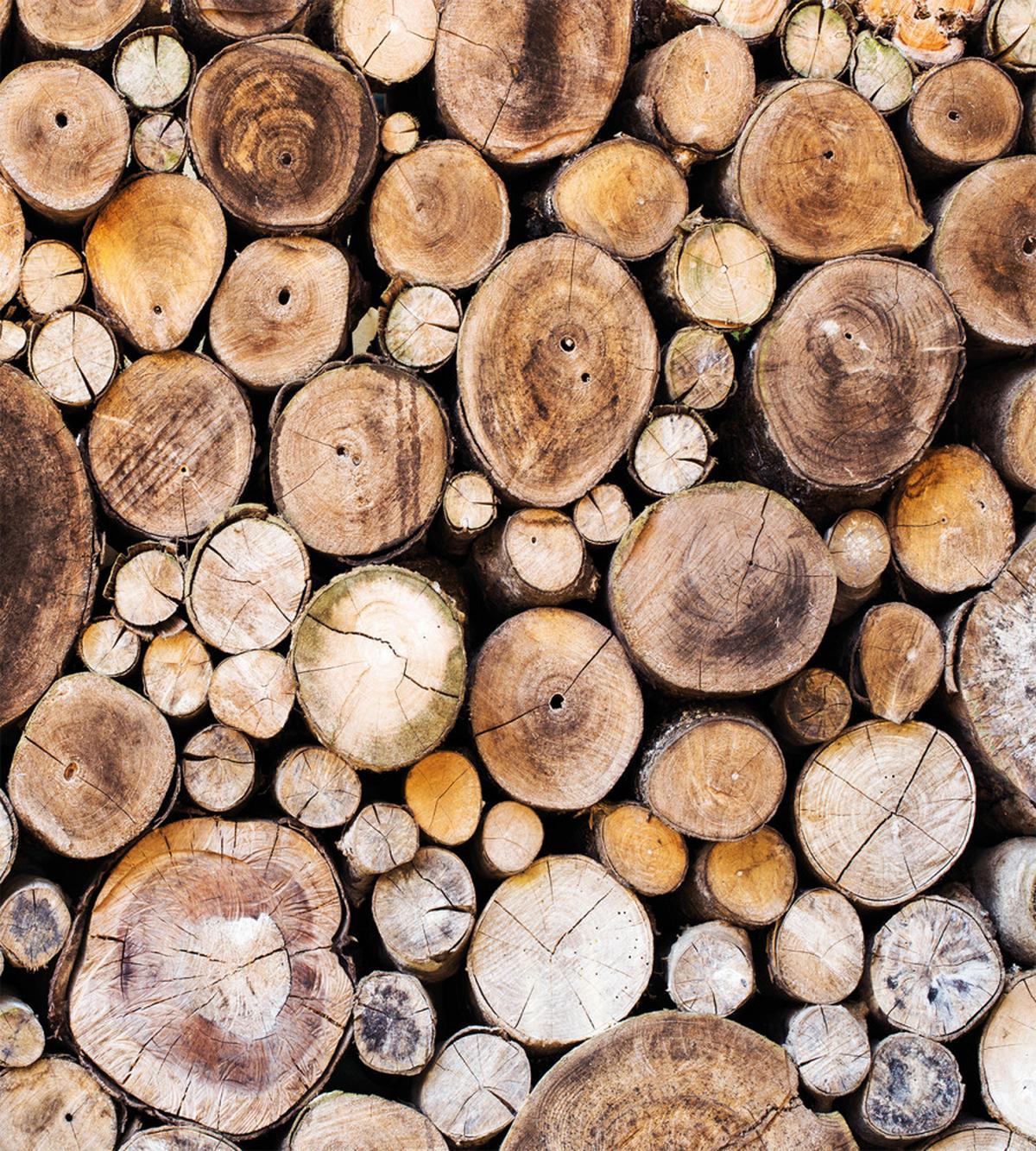 Wooden Logs Oak Tree — Pattern