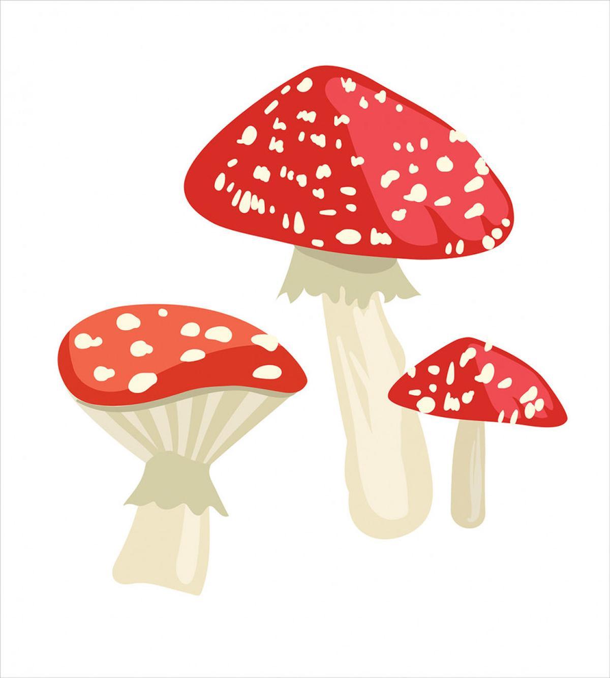Simple Cartoon Toadstool — Pattern