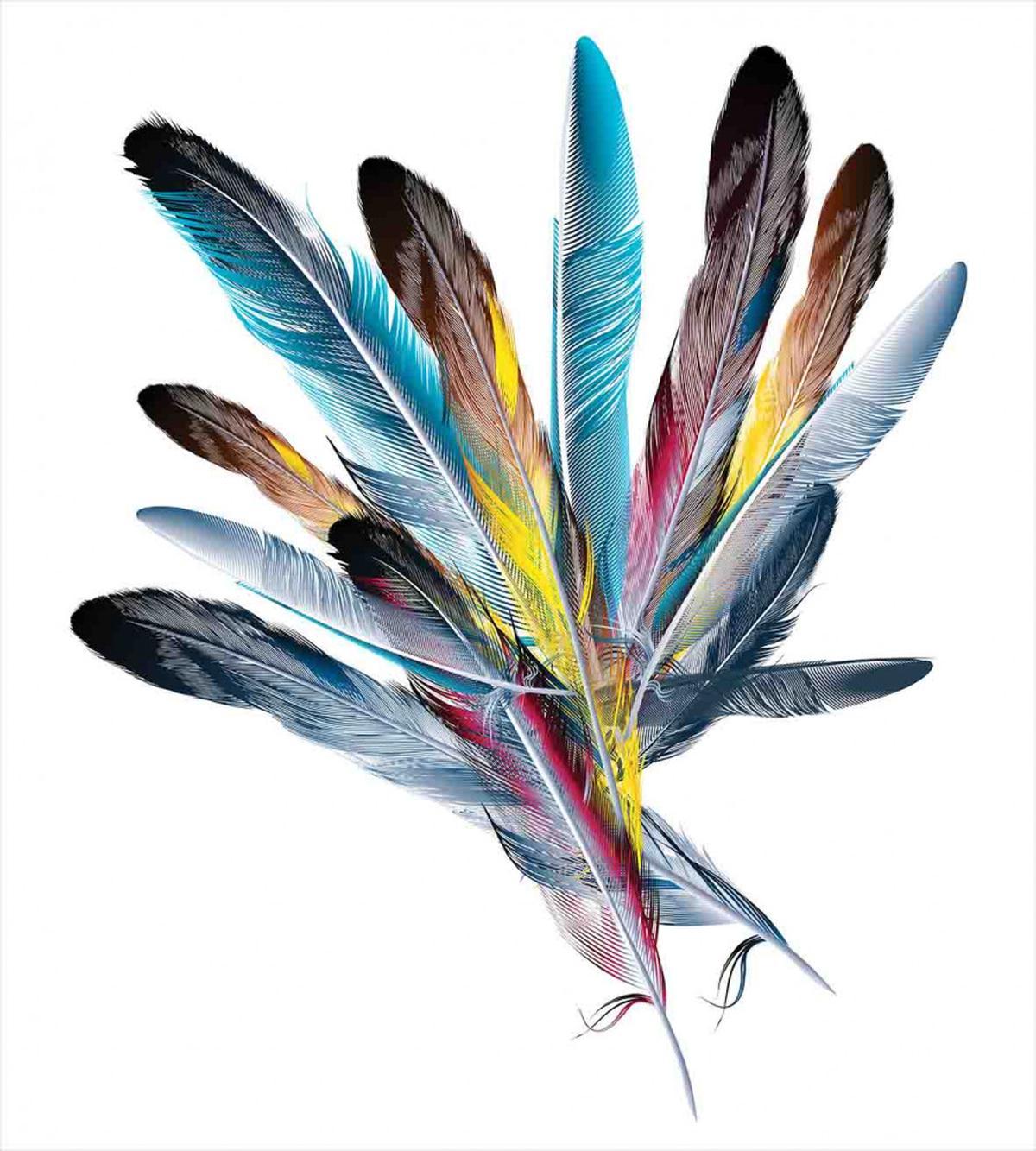 Colorful Feathers Old Pen — Pattern