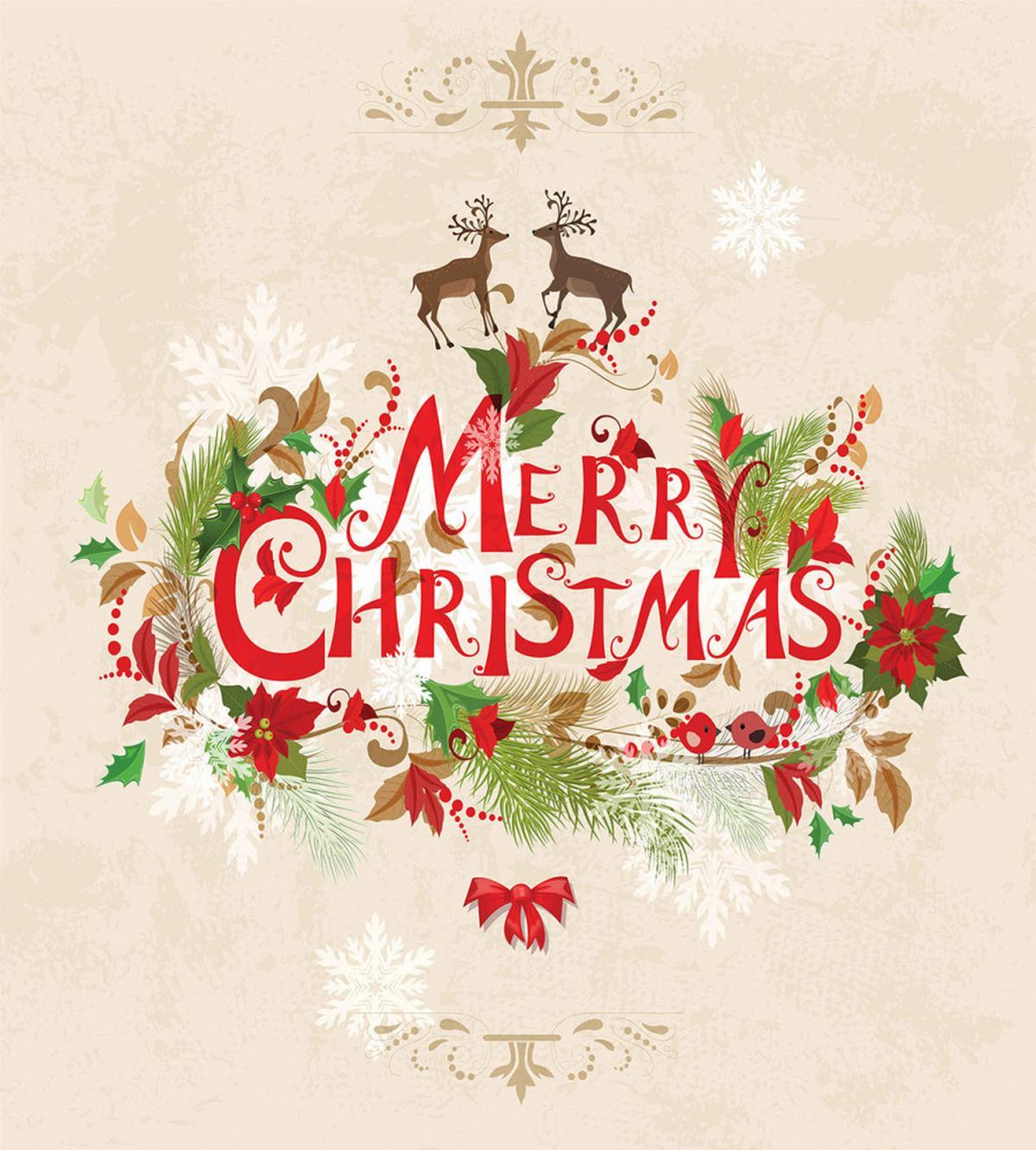 Floral Merry Xmas — Pattern