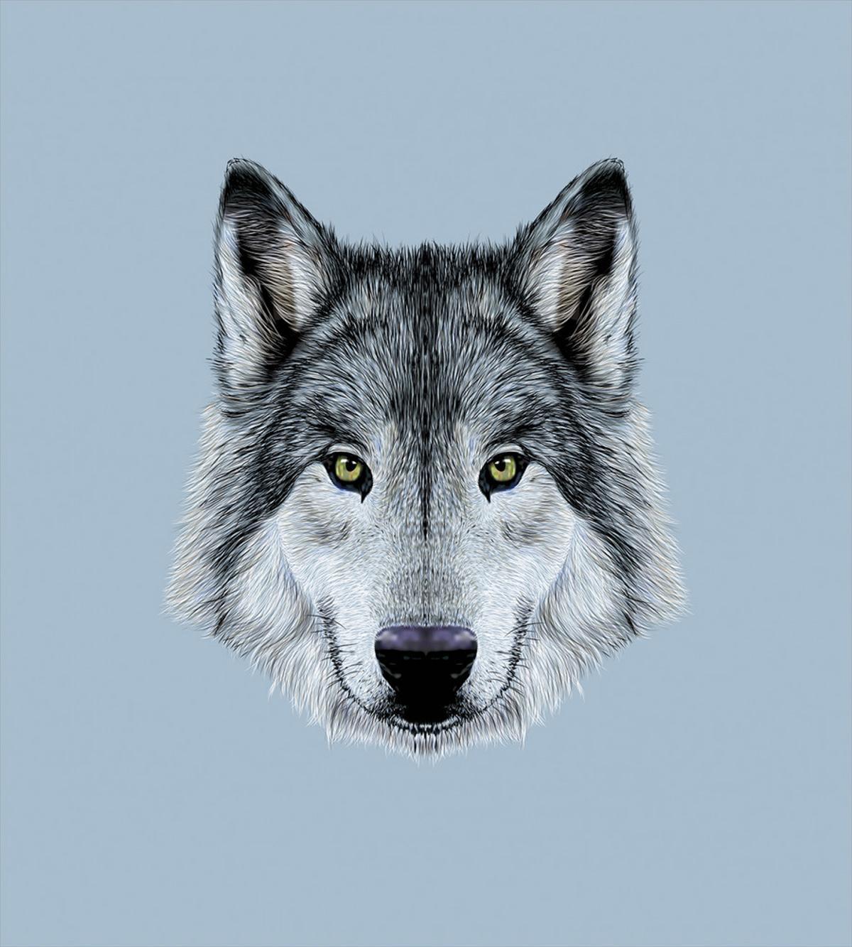 Detailed Canine Expression — Pattern