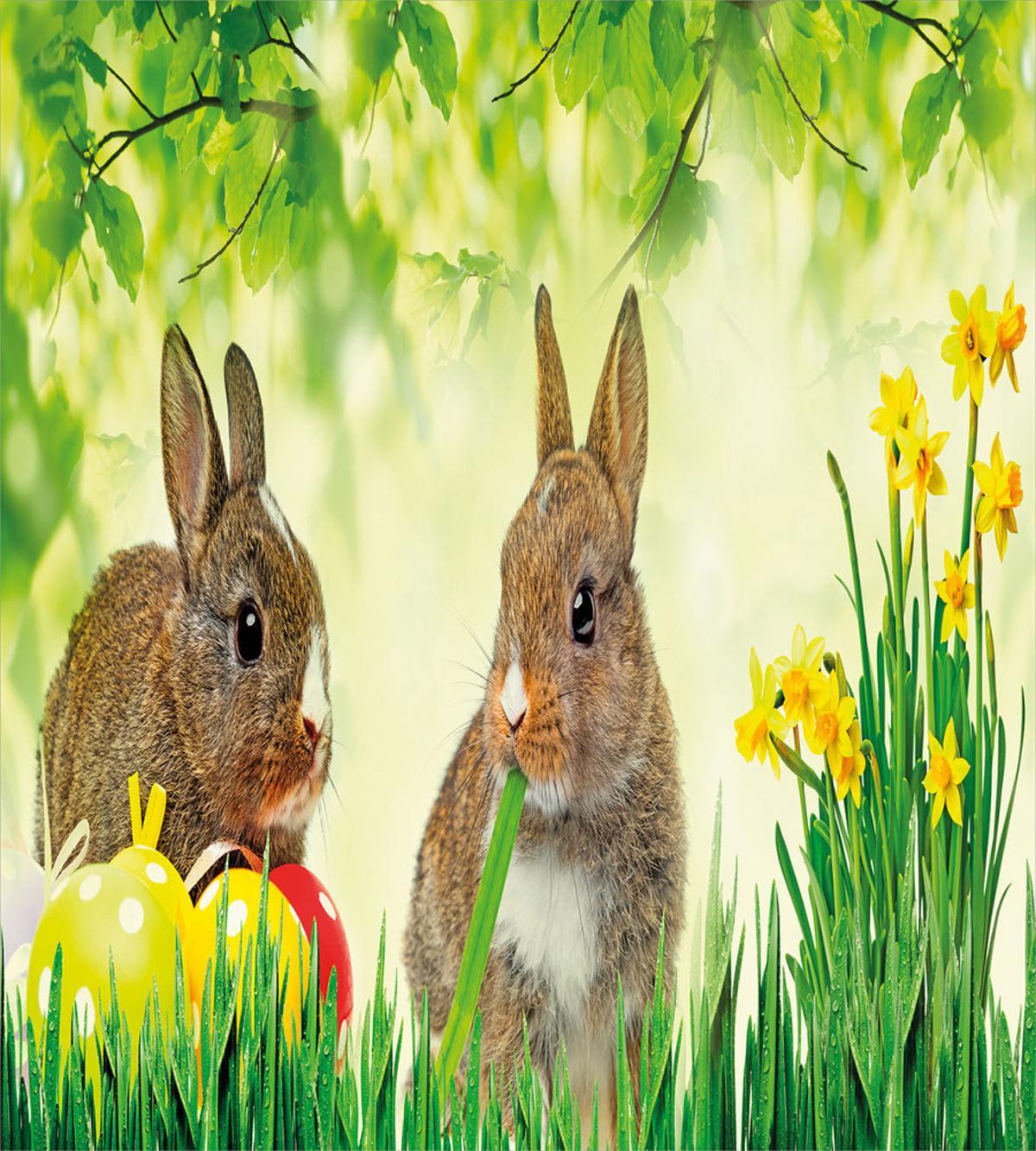 Easter Rabbits — Pattern