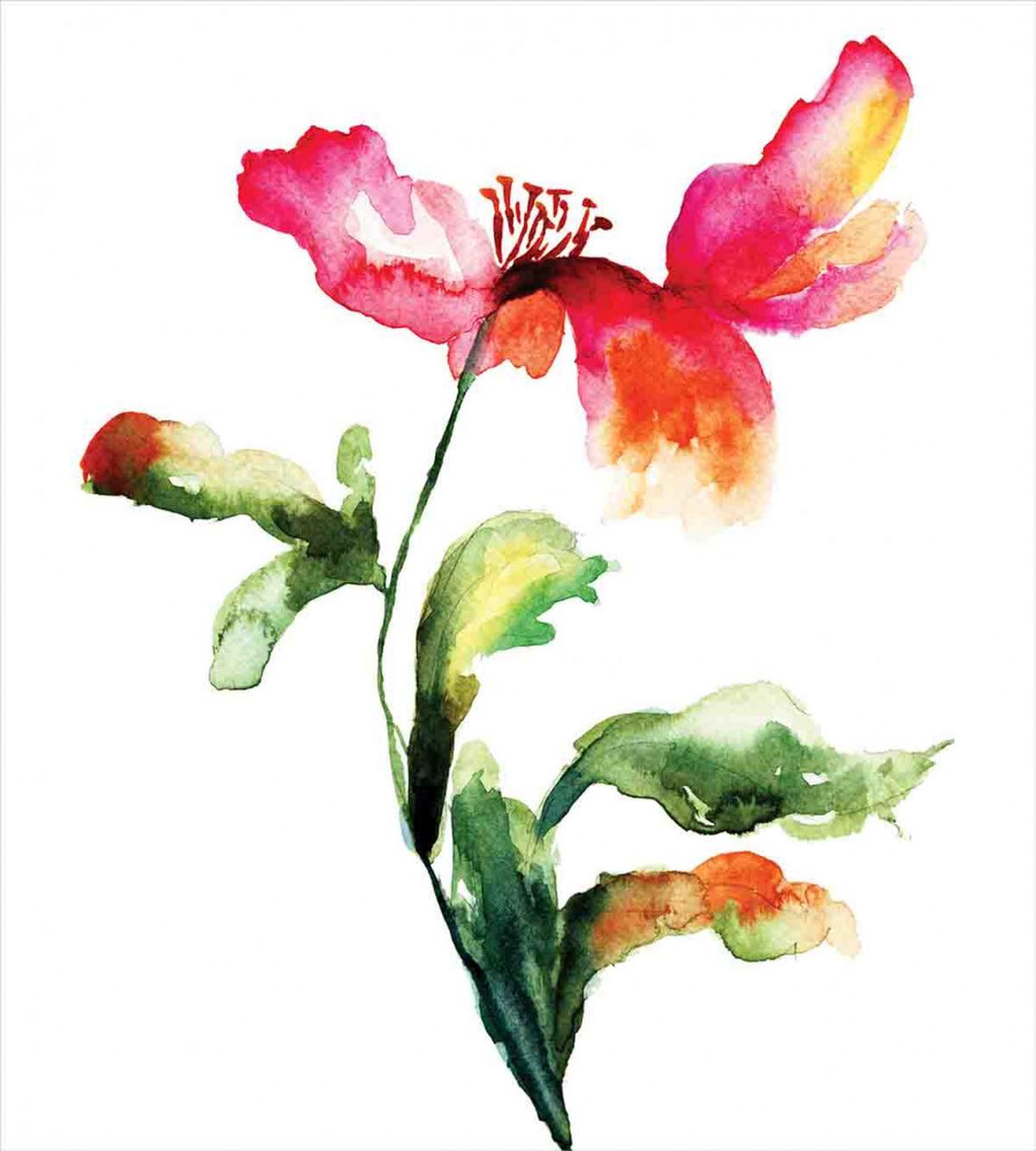 Flowering Poppy — Pattern