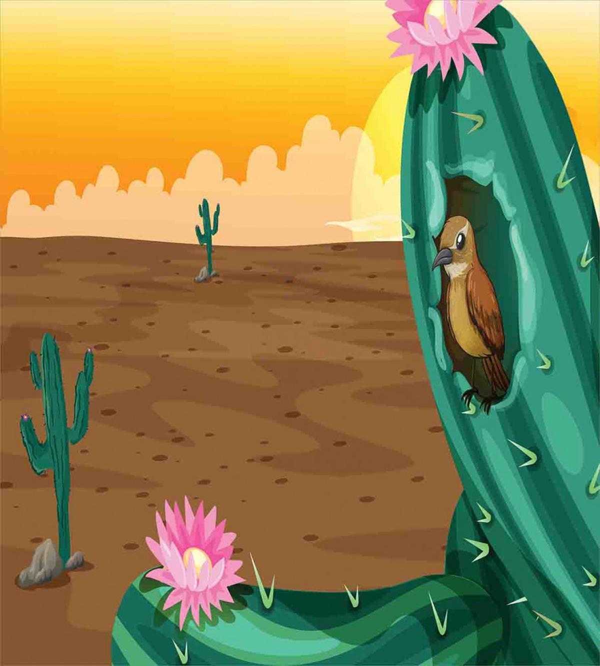 Desert Cactus and Bird — Pattern