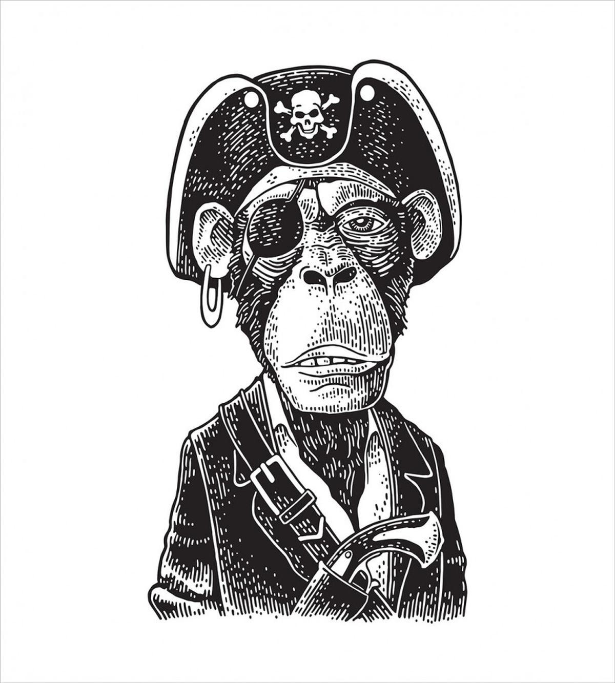 Pirate Monkey Portrait Art — Pattern