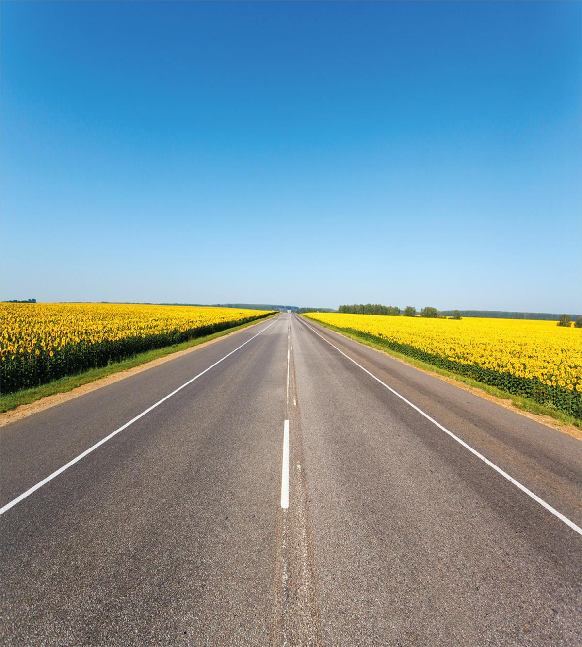 Sunflowers Road — Pattern