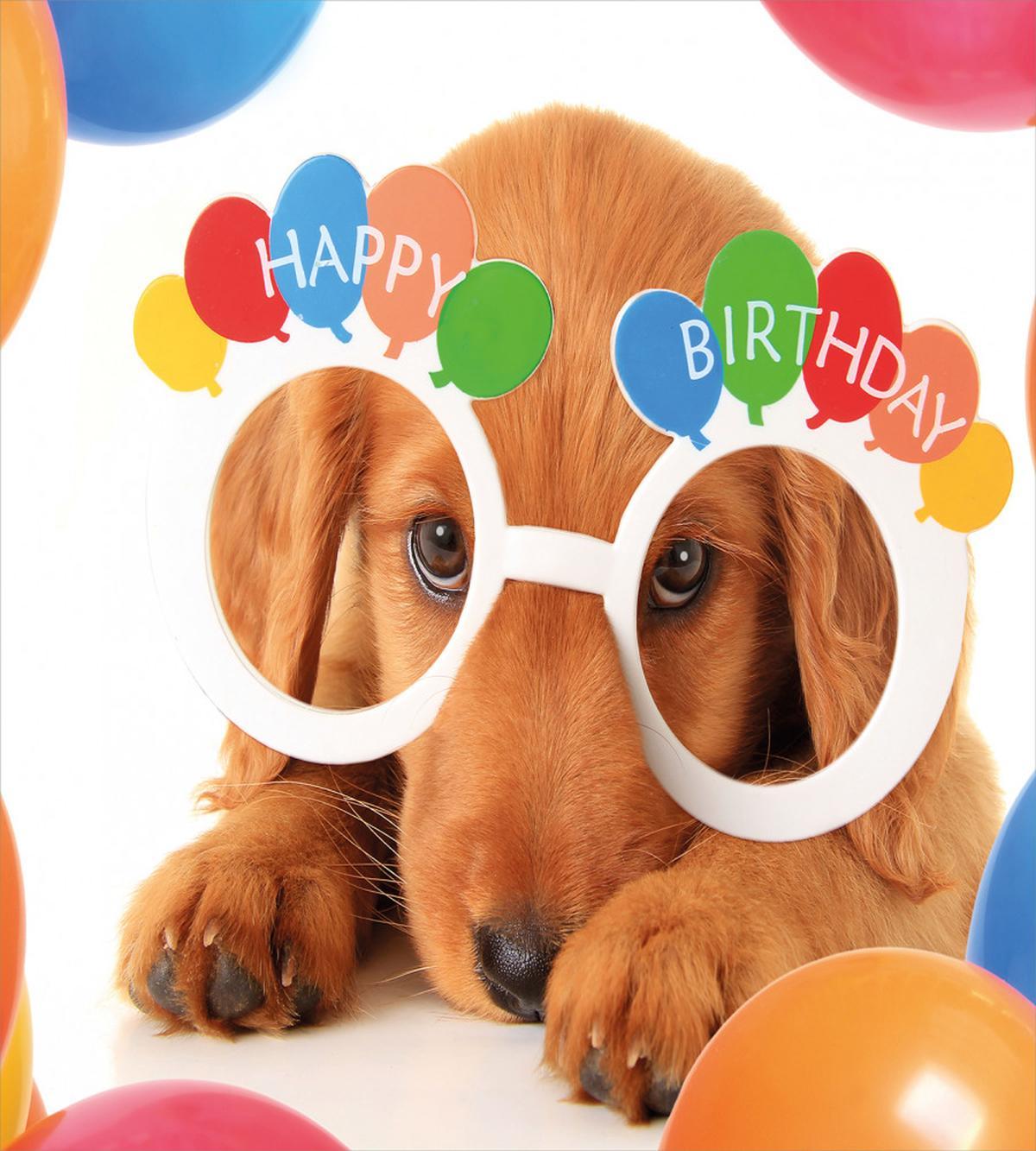 Puppy Dog Birthday — Pattern