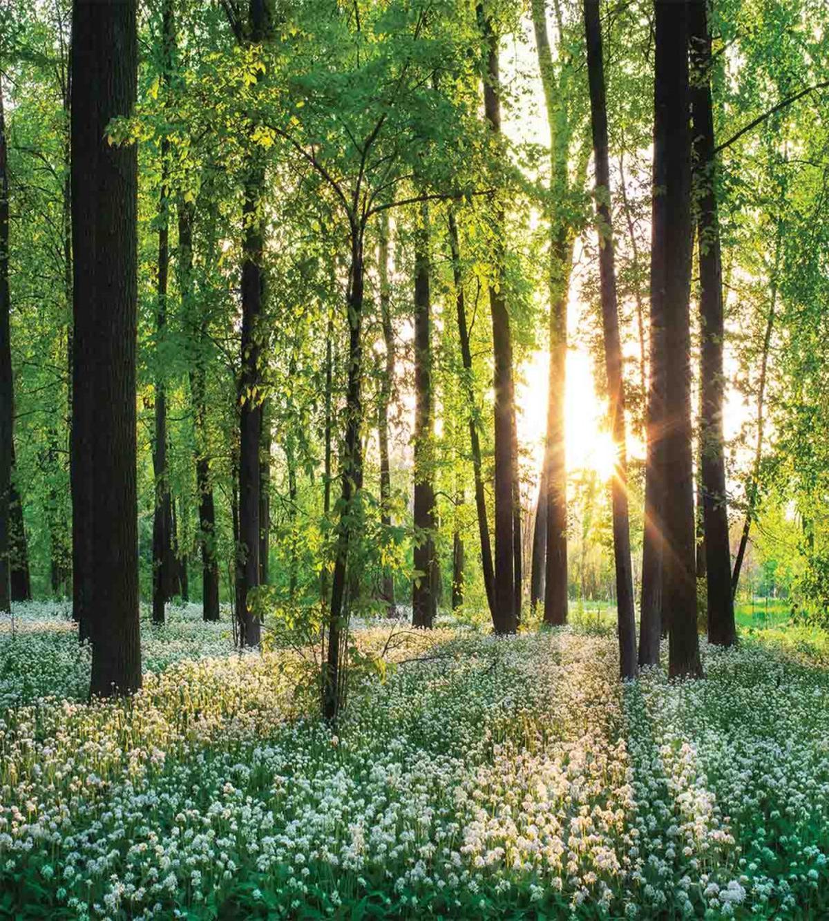 Sunny Forest Blossoms — Pattern