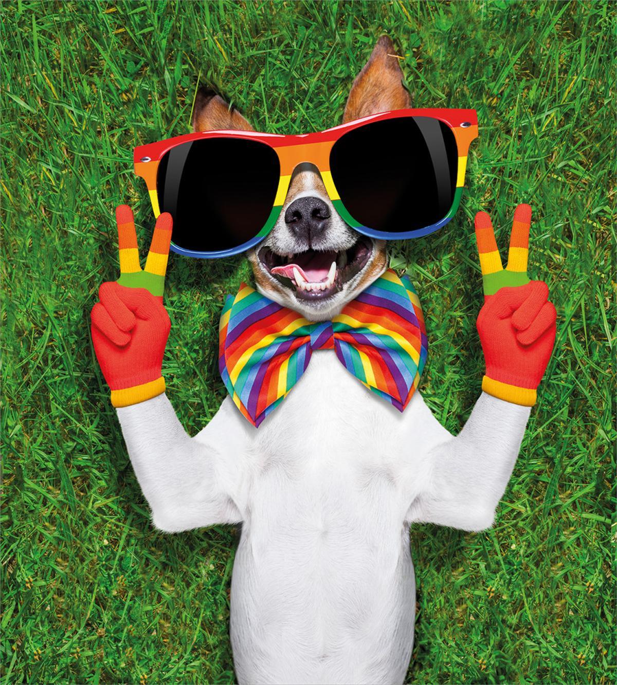 Gay Dog Peace Sign Pride — Pattern