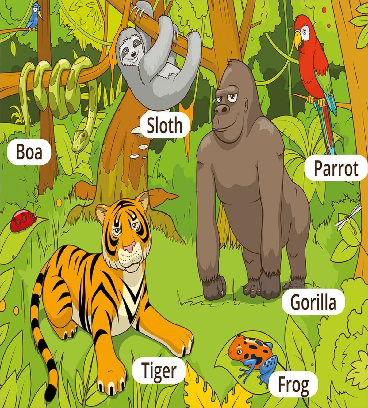 Jungle Fauna Zoo — Pattern