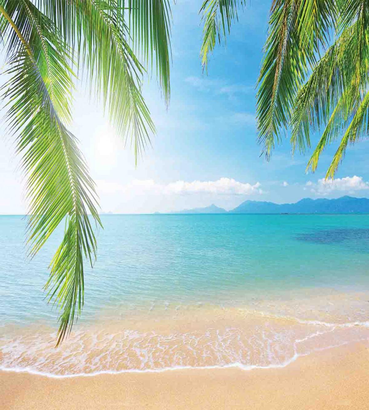 Surf Tourism Thailand — Pattern