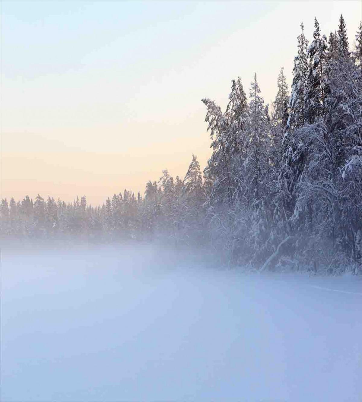 Frozen Lake in Woods — Pattern