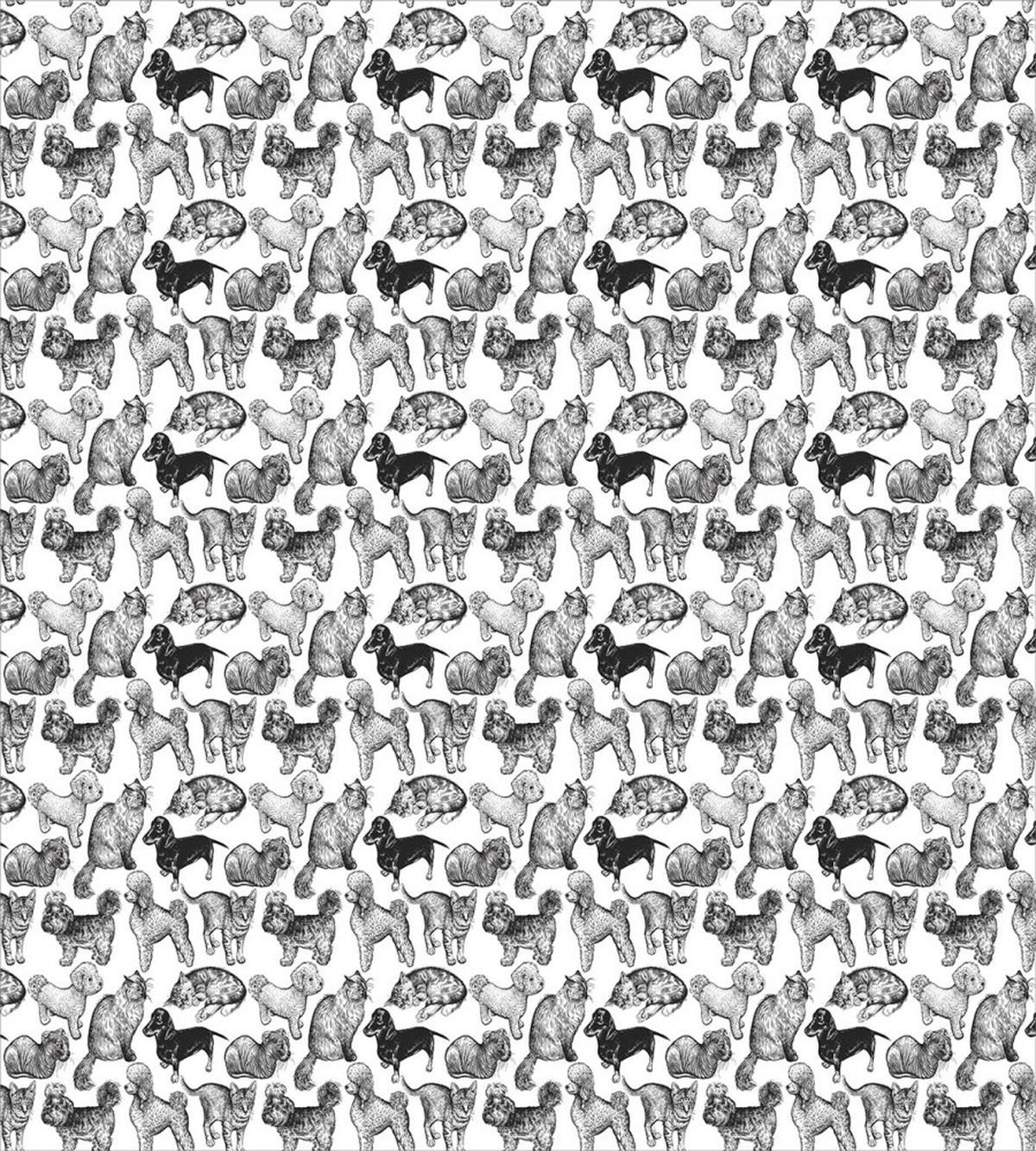 Various Animal Breeds — Pattern