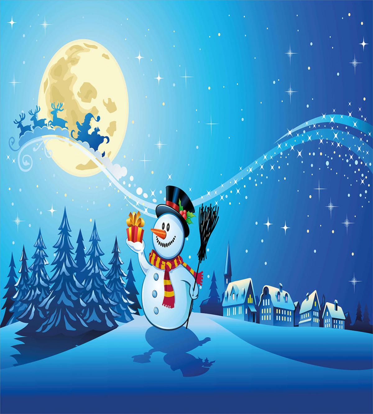 Snowy Land Pines Moon — Pattern