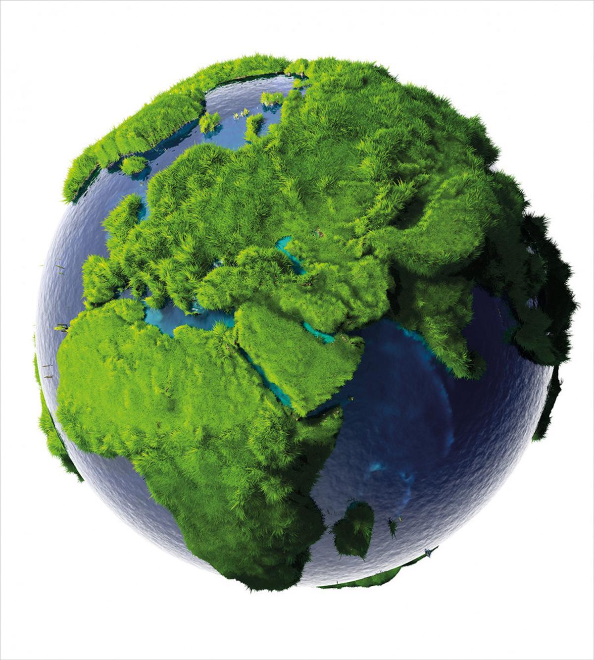 World Lush Forest Waters — Pattern
