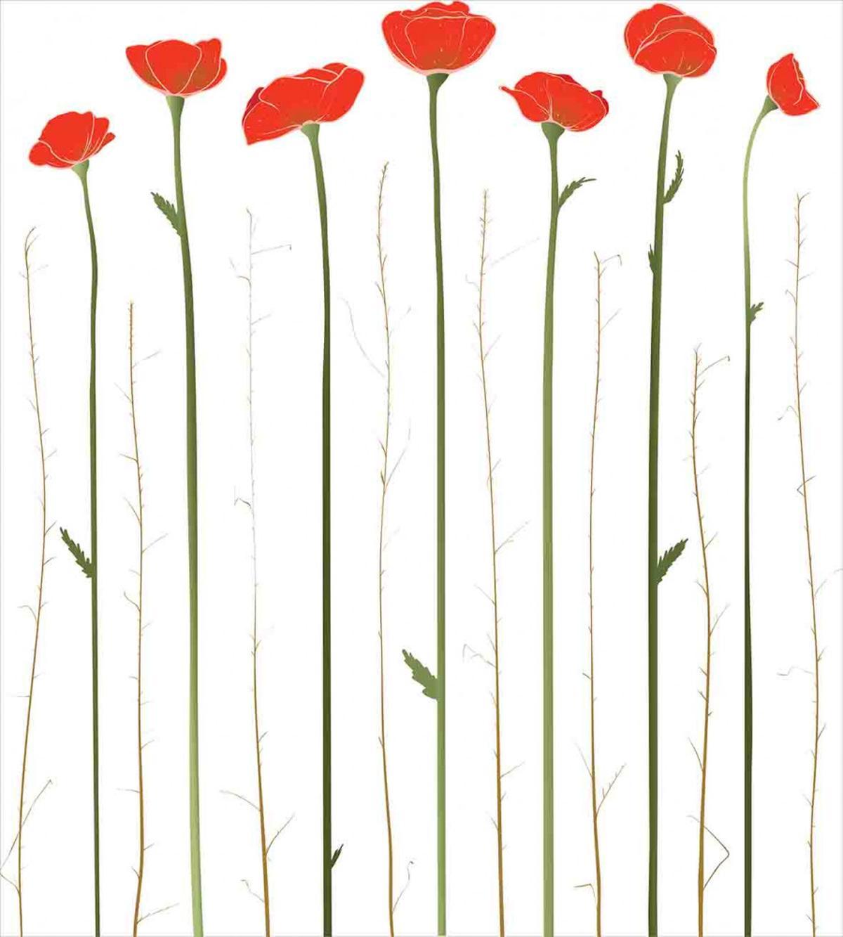 Red Poppies on Spring — Pattern