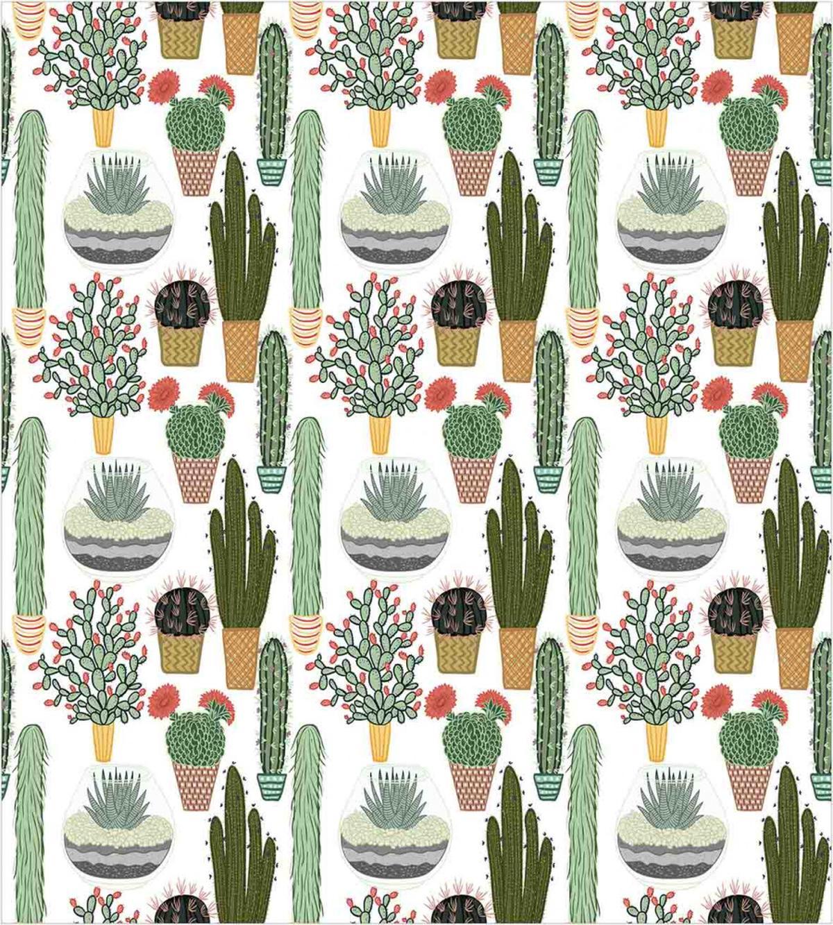 Succulents Flower Pots — Pattern