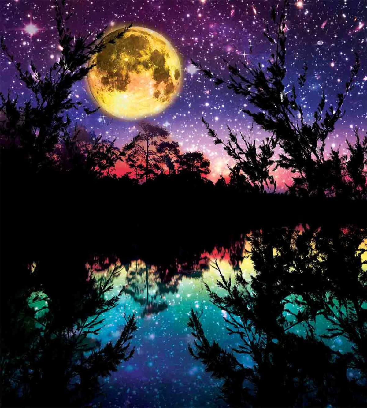 Night Sky Trees — Pattern