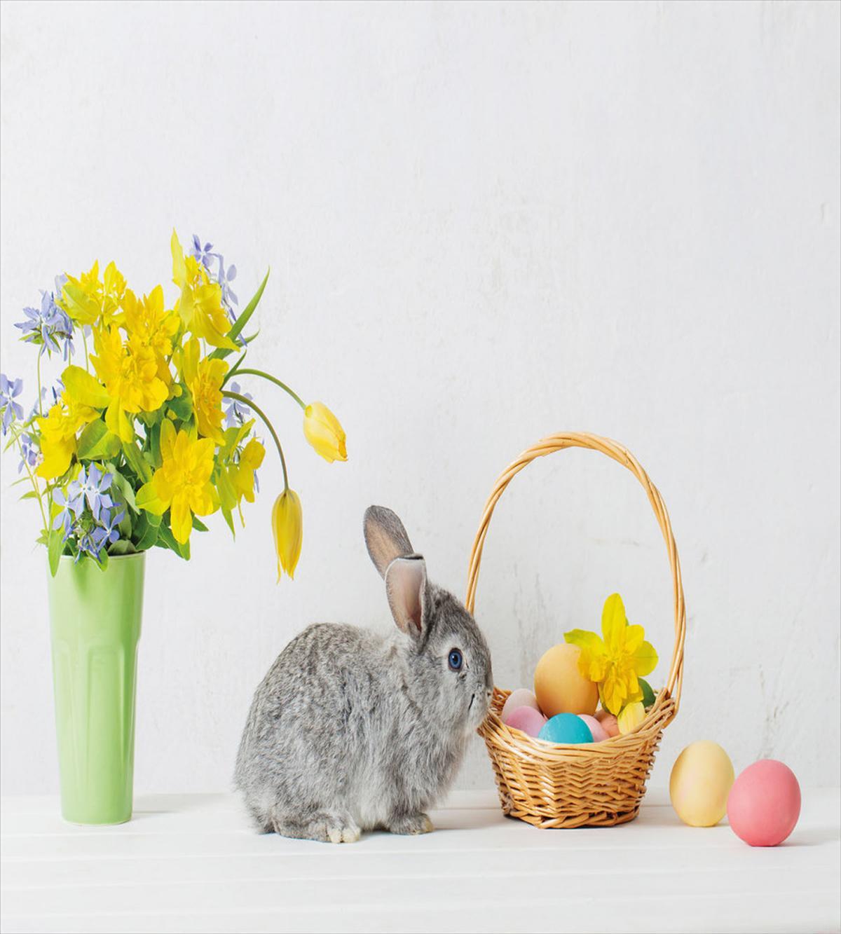 Dyed Eggs and Rabbit — Pattern