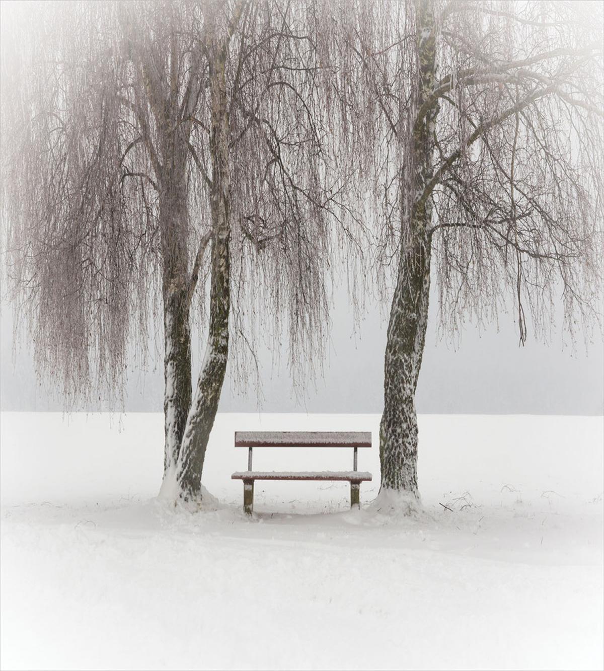 Bench Trees Snowflakes — Pattern