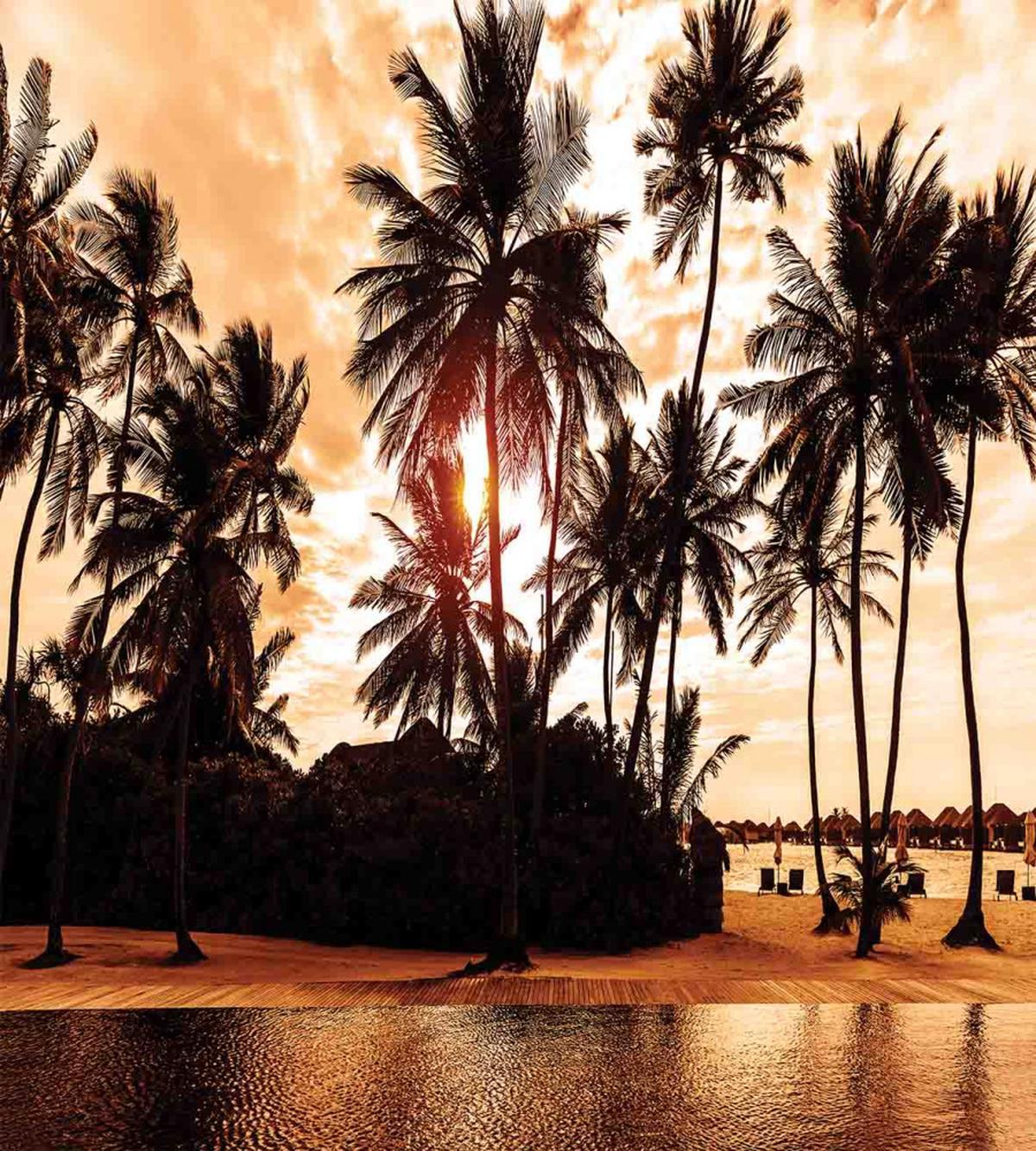 Ocean Sea Love Palms — Pattern