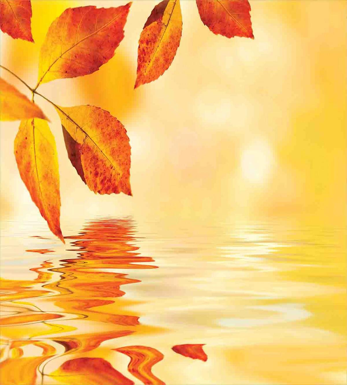 Sun View Leaves — Pattern