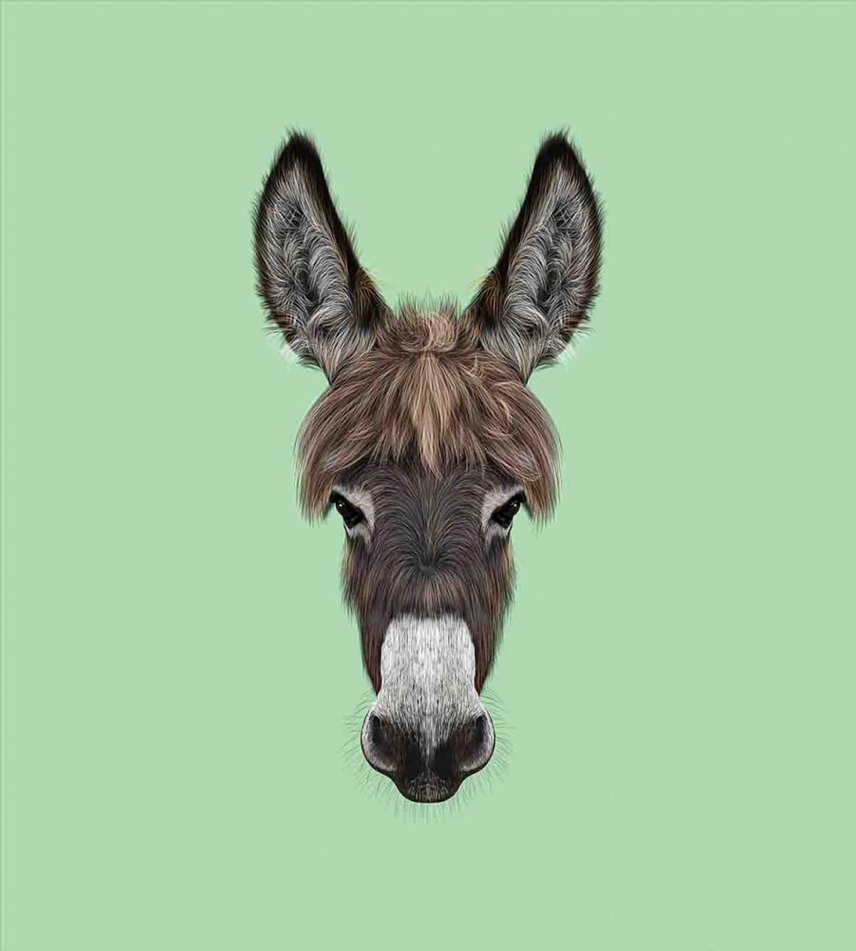 Illustrated Animal Portrait — Pattern