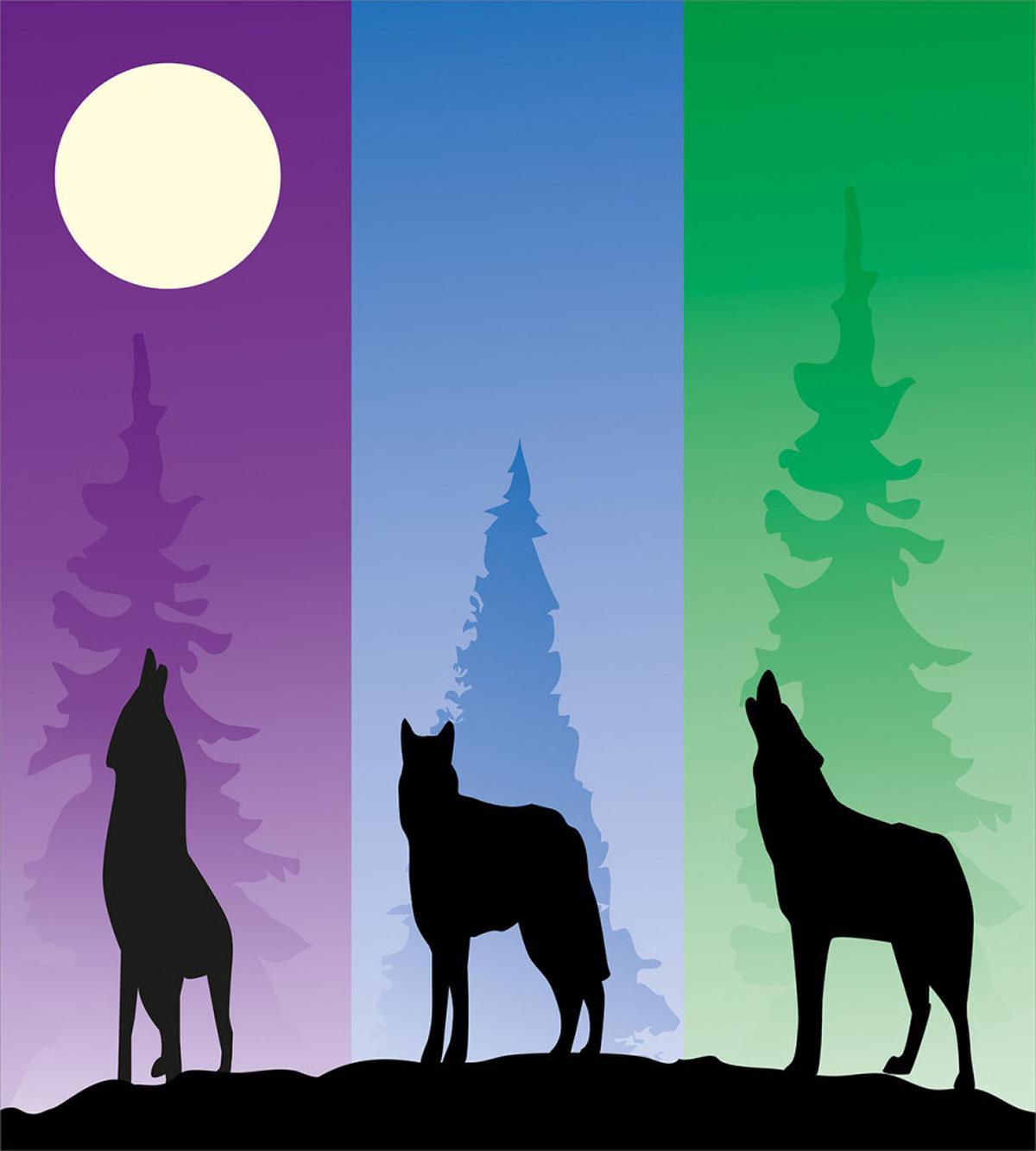 Wolf at Night Howling — Pattern