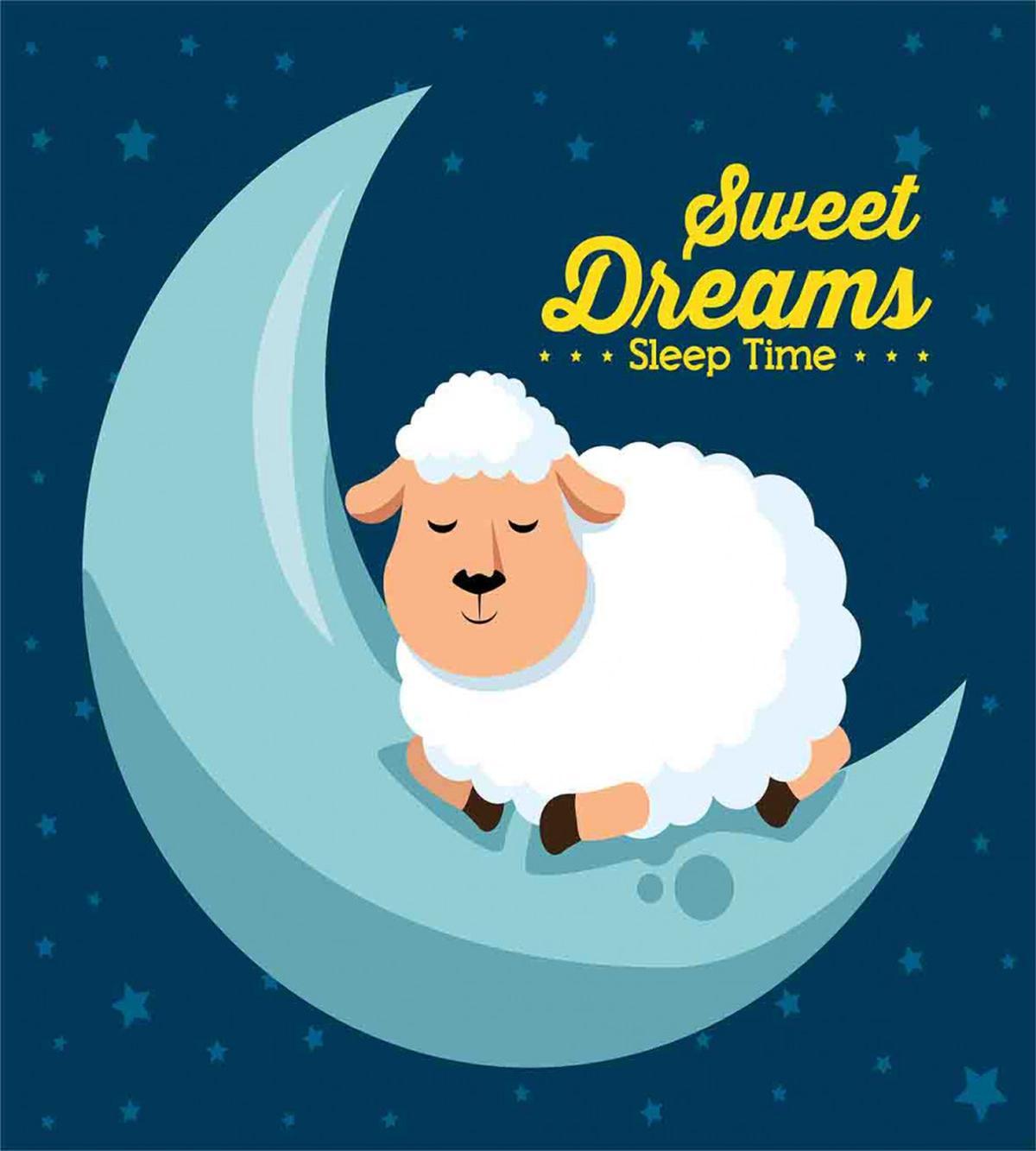 Night Sky Sheep — Pattern