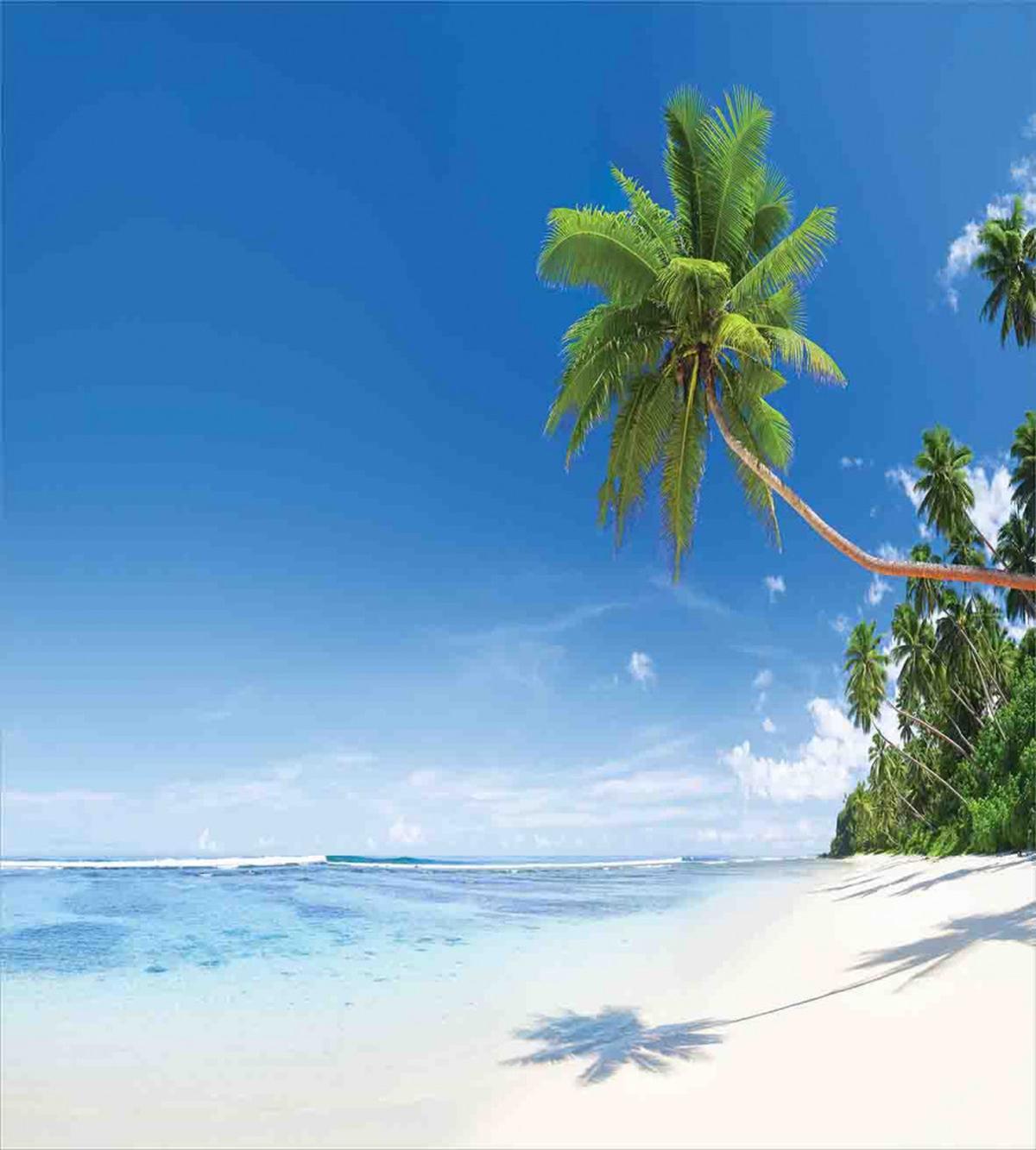 Ocean Summer Palms — Pattern