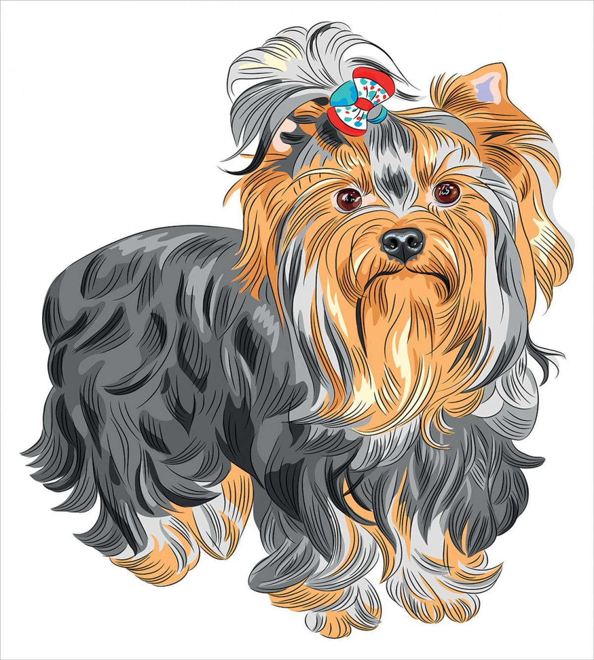 Terrier with Bow — Pattern