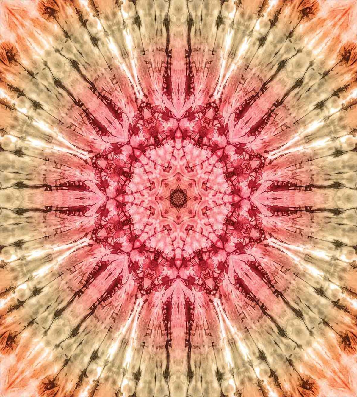 Batik Hippie Red Brown — Pattern